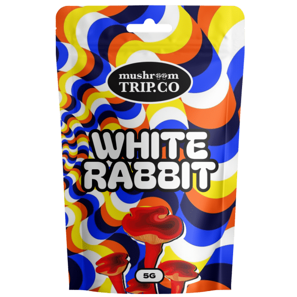 buy shrooms white rabbit