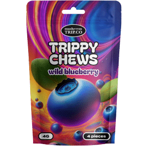 buy shrooms gummies wild blueberry