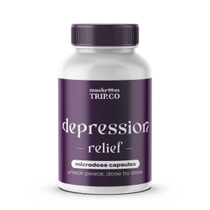 buy shrooms microdose depression relief