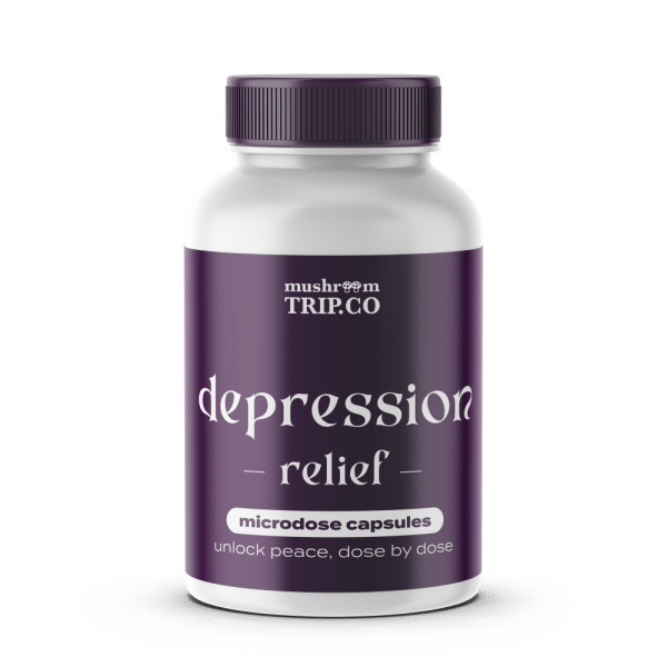 buy shrooms microdose depression relief